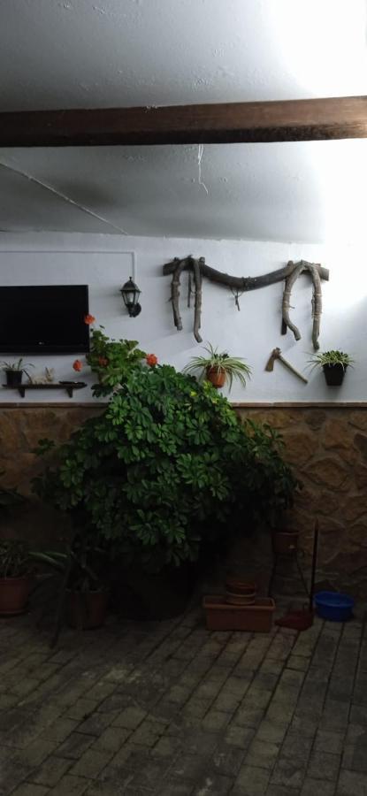 Casa Cueva El Almendro Guest House Pegalajar Bagian luar foto